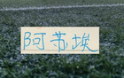 申花主帅再等两场关键比赛，下月有望迎来阿苏埃回归曙光，球队备战进入最后冲刺阶段