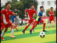 海登海姆vs美因茨直播_海登海姆vs美因茨海登海姆vs美因茨免费直播在线直播